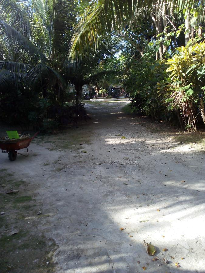 John Lhea Beach Cottages Сикихор Экстерьер фото