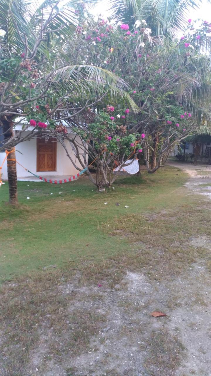 John Lhea Beach Cottages Сикихор Экстерьер фото
